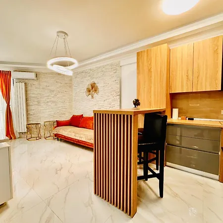Zig Zag 1 Bdr Daire *